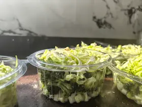 Keto Fresh Garden Salad